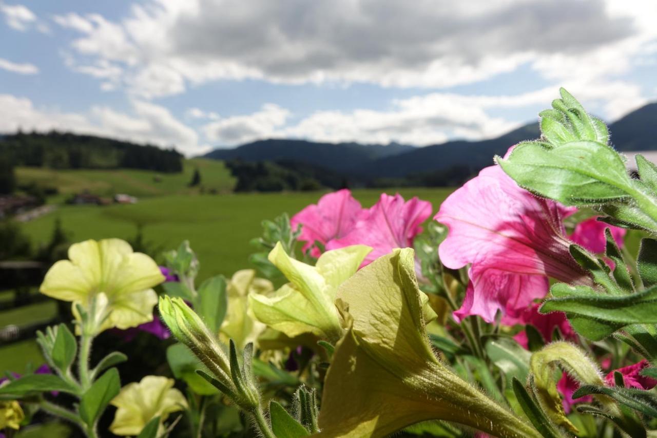 Atelierhaus Ferienwohnungen Fischen im Allgaeu Екстер'єр фото
